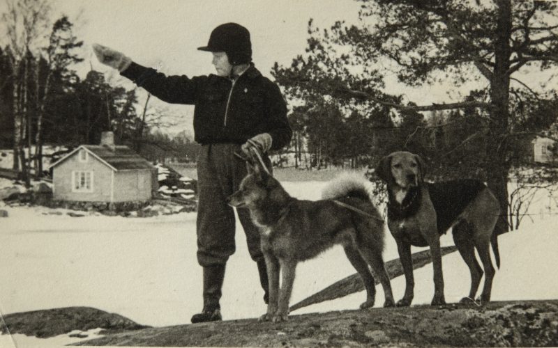Poika Suomenpystykorvan Ja ajokoiran Kanssa Koiramuseo poika-suomenpystykorvan-ja-ajokoiran-kanssa-koiramuseo