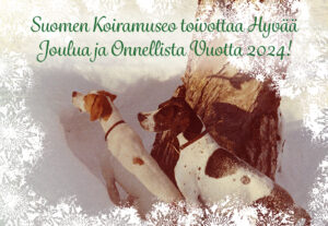 Hyvää joulua!