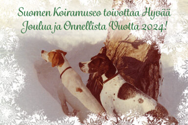 Hyvää joulua!